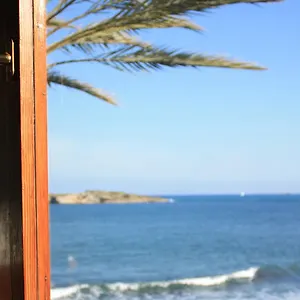 book here